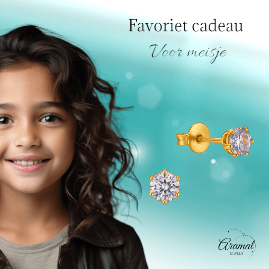 Goudkleurige Zirkonia Oorbellen 4mm Lila - Aramat Jewels - Oorbellen - cadeautip