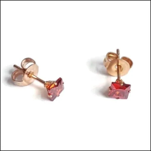 Stalen Vierkante Zirkonia Oorbellen Tijdloos RVS