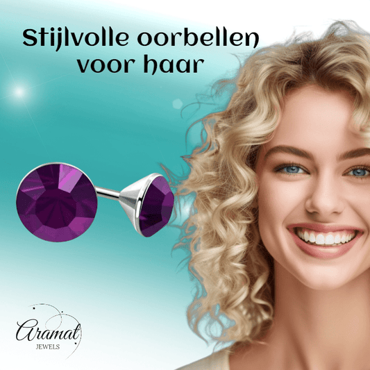 Stalen Kristal Oorbellen met paarse steentjes – Zilverkleur – 4mm - Aramat Jewels - Oorbellen - cadeautip
