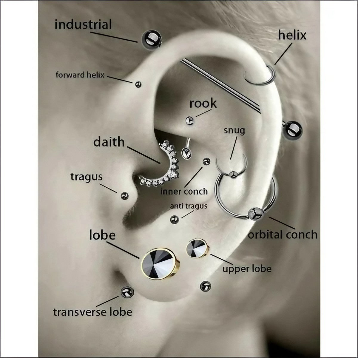 Stalen Bloem Helix Tragus Oorbellen