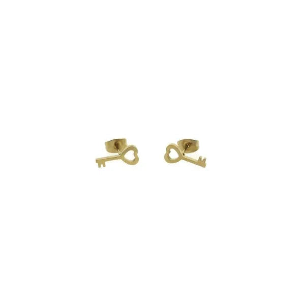Stalen Oorbellen Sleutel- Goudkleur-12x6mm 12mm 6mm alles chirurgisch staal dames Geen hanger Geen oormodel Geen_Parel goudkleurig hart Meerdere Varianten oorbellen PVD Sleutel Staal Volwassenen zilverkleurig zweerknopjes