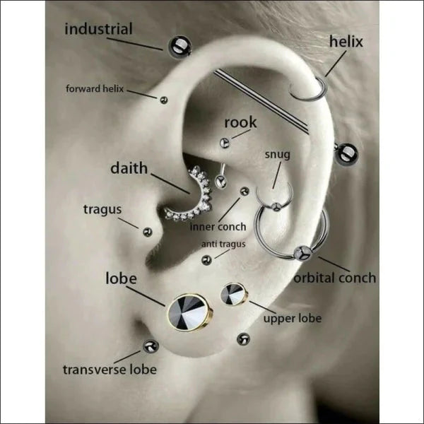 Helixpiercing Piercing Sterren Goudkleurig Chirurgisch Staal 1.2mm 6mm alles Barbell chirurgisch staal dames goudkleurig Helix helixpiercings jin kristal nakijken Oor piercing Piercings PVD Staal ster tekst traguspiercings transparant Volwassenen