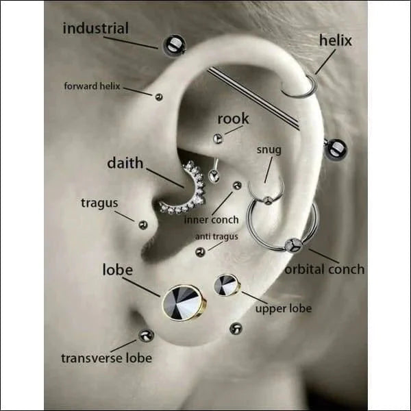 Helixpiercing Tragus Piercing Met 4 Steentjes Zwart Rechts 1.2mm 10mm 6mm alles Barbell chirurgisch staal dames Helix helixpiercings heren jin Met_steen nakijken Oor piercing Piercings PVD rechts Staal tekst Volwassenen zilverkleurig zirkonia zwart