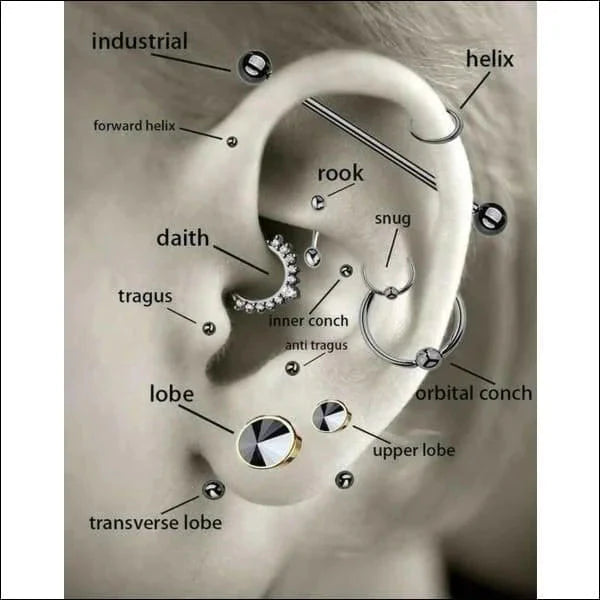 Helixpiercing Met Steentje Roze 1.2mm 6mm alles Barbell chirurgisch staal dames Helix helixpiercings jin kristal nakijken Oor piercing Piercings PVD rond roze Staal Stud tekst Volwassenen zilverkleurig zonder steen Zonder_steen