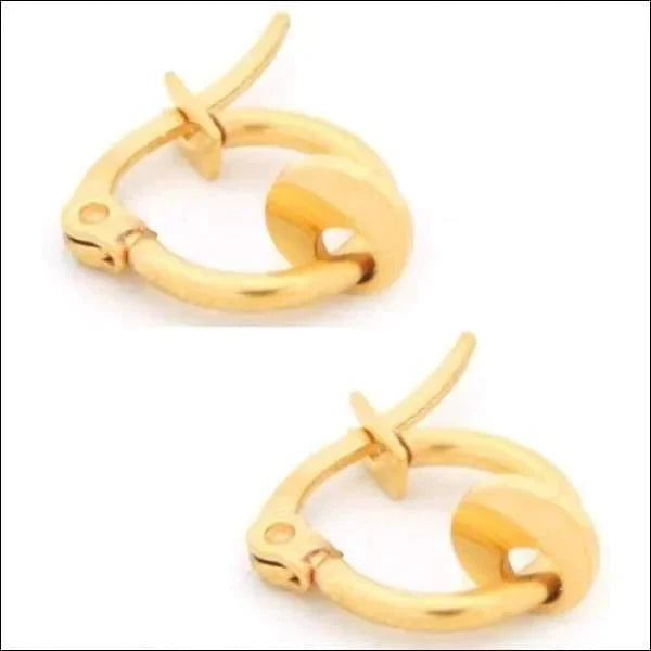 Oorringen Met Bedel Cirkel Staal 14mm Goudkleurig 14mm alles chirurgisch staal coin Geen edelsteen Geen_Parel Meerdere kleuren Met_hanger oorbellen Oorringen oorringetjes PVD Soort sieraad_Oorringen staal zilverkleurig zweerknopjes