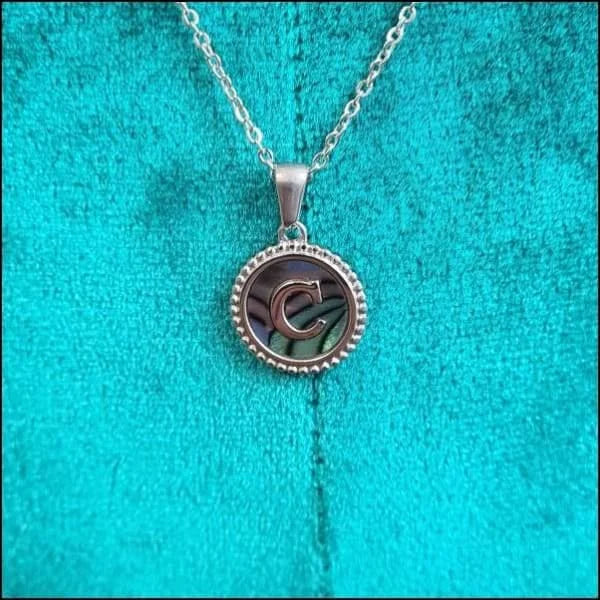 Halskettingen Stalen Letter Ketting Initiaal Abalone Zilverkleur 45cm Aramat Jewels