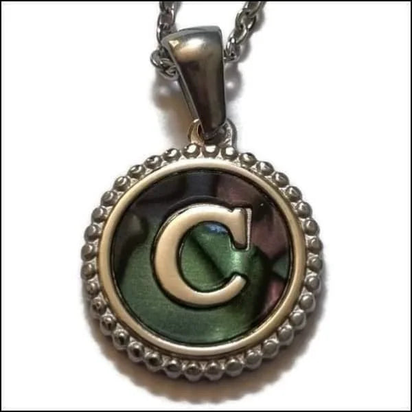 Halskettingen Stalen Letter Ketting Initiaal Abalone Zilverkleur 45cm Aramat Jewels