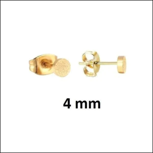 Oorbellen | Ronde Zweerknopjes Chirurgisch Staal