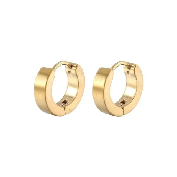 Stalen Oorringen 14mm Goudkleur Glad-14x4mm 14mm alles bol chirurgisch staal dames Geen edelsteen Geen hanger Geen_Parel goudkleurig heren Meerdere Varianten oorbellen Oorringen oorringetjes PVD sandblasted Soort sieraad_Oorringen Staal uniseks Volwassenen zirkonia zonder hanger Zonder_hanger zweerknopjes