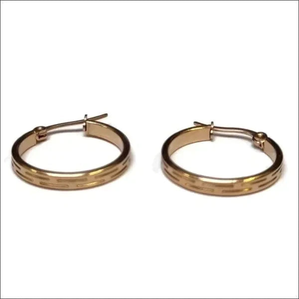 Stalen Bewerkte Oorringen Rosékleur 25mm Strepen-23x3mm 2.5mm 25mm alles chirurgisch staal dames Geen edelsteen Geen oormodel Geen_steen Meerdere Varianten oorbellen Oorringen oorringetjes PVD rond rosékleurig Soort sieraad_Oorringen Staal strepen tomade Volwassenen Zonder_hanger Zonder_steen zweerknopjes