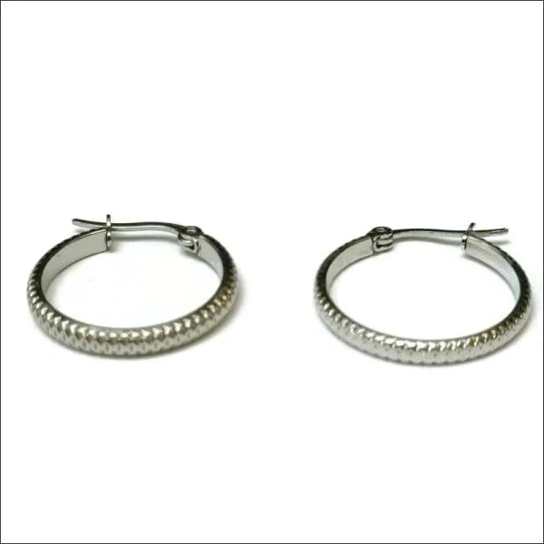 Rvs Oorringen 25mm Streepjes-25x2.5mm 25mm alles chirurgisch staal dames Geen edelsteen Geen_Parel Geen_steen Meerdere Varianten oorbellen oormodel Oorringen oorringetjes PVD rond Staal tomade zilverkleurig Zonder_hanger Zonder_steen zweerknopjes