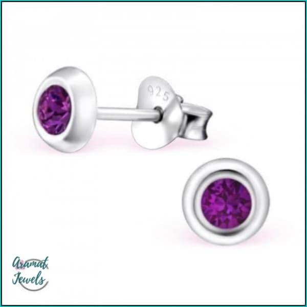 Oorbellen | 925 Sterling Zilveren Oorbellen 5mm Kristal |