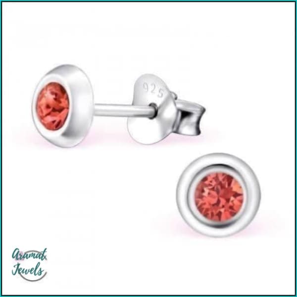 Oorbellen | 925 Sterling Zilveren Oorbellen 5mm Kristal |