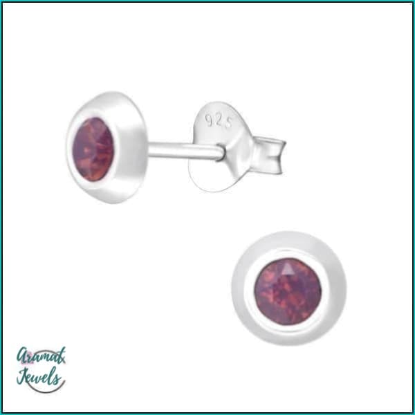 Oorbellen | 925 Sterling Zilveren Oorbellen 5mm Kristal |