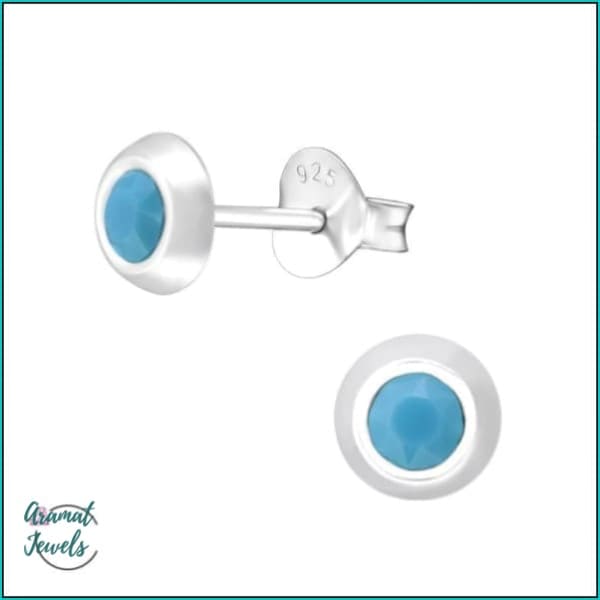 Oorbellen | 925 Sterling Zilveren Oorbellen 5mm Kristal |