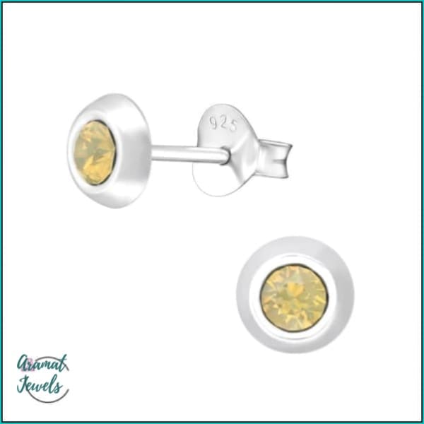 Oorbellen | 925 Sterling Zilveren Oorbellen 5mm Kristal |