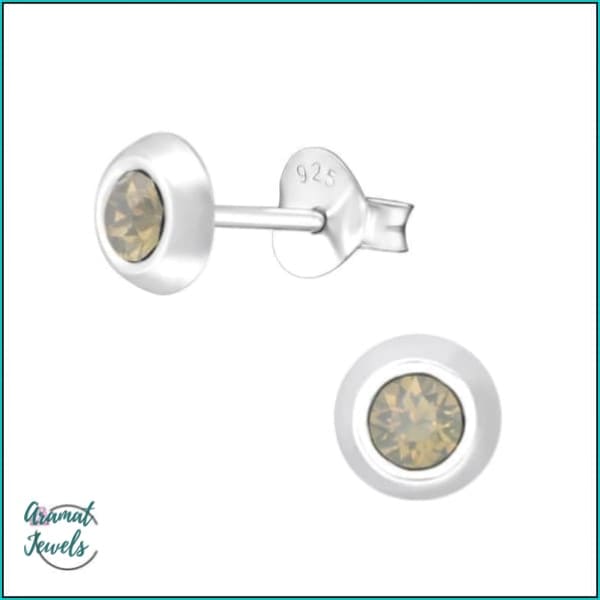 Oorbellen | 925 Sterling Zilveren Oorbellen 5mm Kristal |