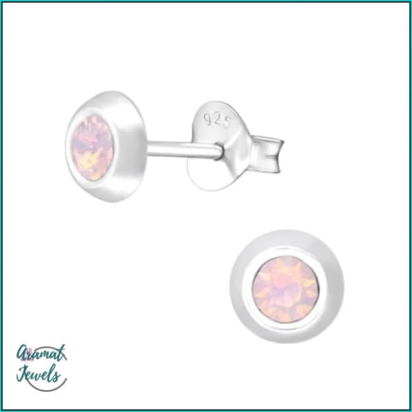 Oorbellen | 925 Sterling Zilveren Oorbellen 5mm Kristal |