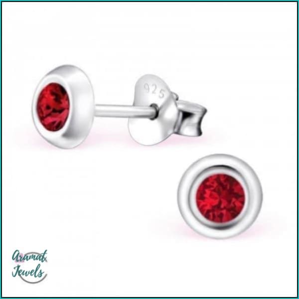 Oorbellen | 925 Sterling Zilveren Oorbellen 5mm Kristal |