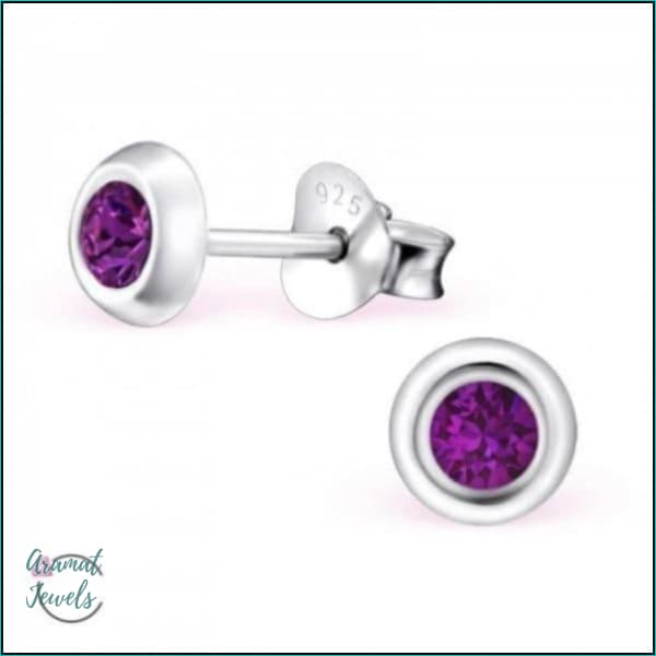 Oorbellen | 925 Sterling Zilveren Oorbellen 5mm Kristal |