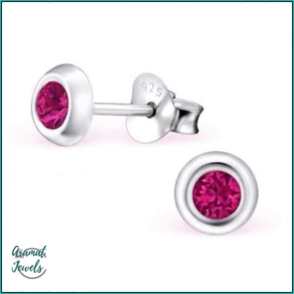 Oorbellen | 925 Sterling Zilveren Oorbellen 5mm Kristal |