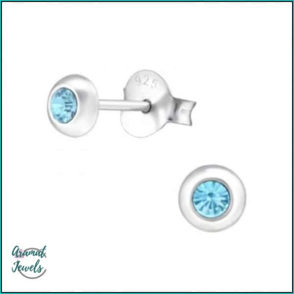 Oorbellen | 925 Sterling Zilveren Oorbellen 5mm Kristal |