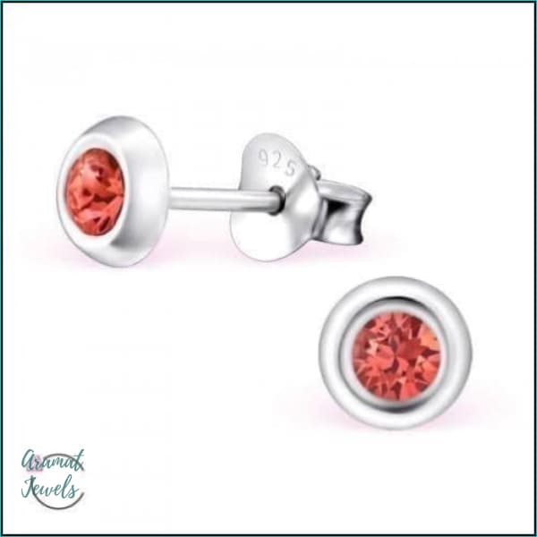 Oorbellen | 925 Sterling Zilveren Oorbellen 5mm Kristal |