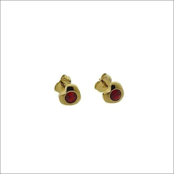 Stalen Oorbellen Hartje Zirkonia Rood 7mm 8mm alles chirurgisch staal dames Geen hanger Geen_Parel goudkleurig Kleur_Goudkleurig Met_steen oorbellen oormodel PVD rood Soort sieraad_Oorbellen Staal Volwassenen zirkonia zweerknopjes