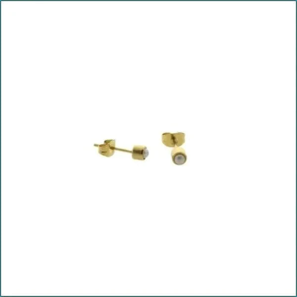 Parel Oorbellen-4mm-staal- Goudkleurig/Wit 4mm 8720157009931 alles Aramat Jewels chirurgisch staal dames geel Geen hanger Geen oormodel goudkleurig grijs kinderen Kleur_Goudkleurig Kleur_Zwart Meerdere kleuren oorbellen parel PVD roze Staal Volwassenen wit zilverkleurig Zwart zweerknopjes