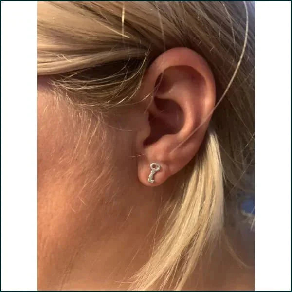 Stalen Oorbellen Sleutel- 12mm 6mm alles chirurgisch staal dames Geen hanger Geen oormodel Geen_Parel goudkleurig hart Meerdere Varianten oorbellen PVD Sleutel Staal Volwassenen zilverkleurig zweerknopjes