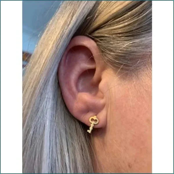 Stalen Oorbellen Sleutel- 12mm 6mm alles chirurgisch staal dames Geen hanger Geen oormodel Geen_Parel goudkleurig hart Meerdere Varianten oorbellen PVD Sleutel Staal Volwassenen zilverkleurig zweerknopjes