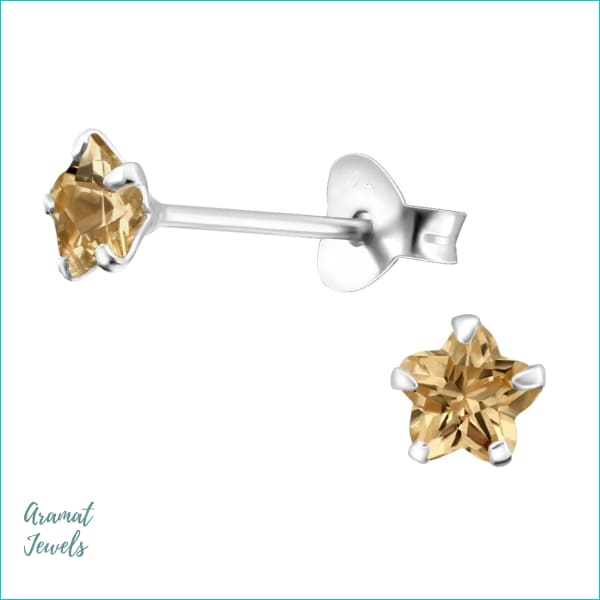 Oorbellen | Zilveren Zirkonia Oorbellen Bloem 4mm |