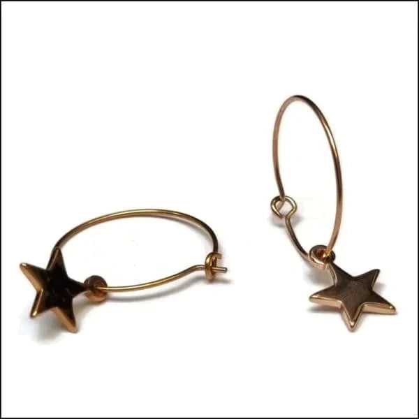 Oorringen | Met Hanger 20mm Chirurgisch Staal Kopen?