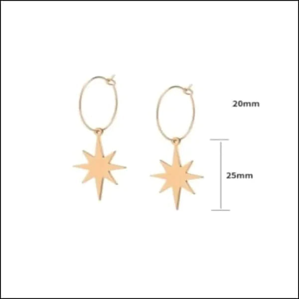 Oorringen | Met Hanger 20mm Chirurgisch Staal Kopen?