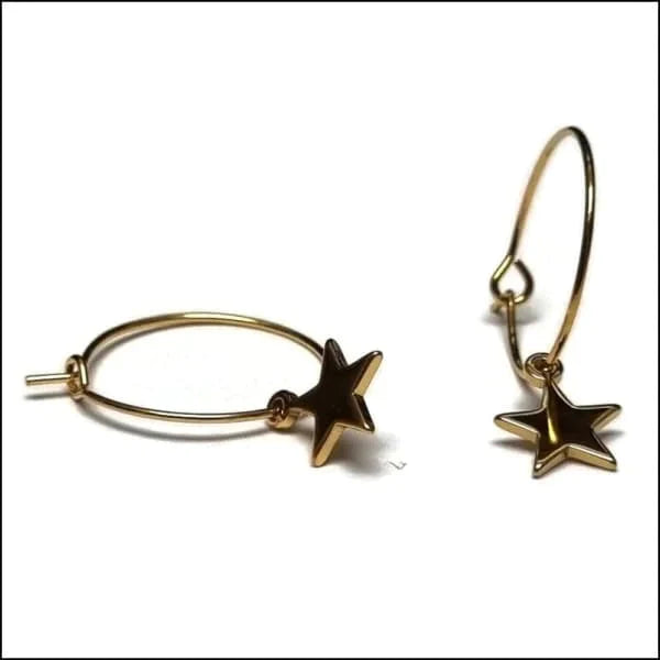 Oorringen | Met Hanger 20mm Chirurgisch Staal Kopen?