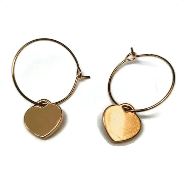 Oorringen | Met Hanger 20mm Chirurgisch Staal Kopen?