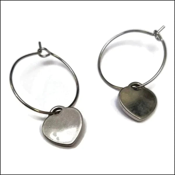 Oorringen | Met Hanger 20mm Chirurgisch Staal Kopen?