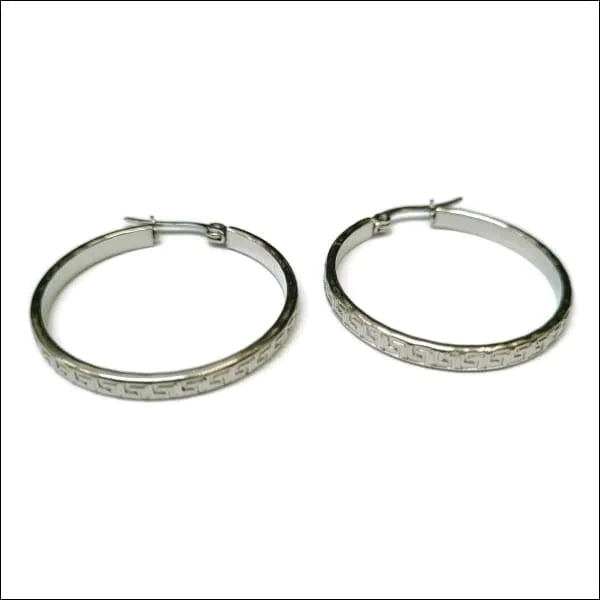 Stalen Oorringen 30mm Zilverkleurig Grieks-30x3.5mm 30mm alles chirurgisch staal dames gedraaid Geen edelsteen Geen_steen Meerdere Varianten Nieuw oorbellen oormodel Oorringen oorringetjes PVD rond Soort sieraad_Oorringen Staal tomade zilverkleurig Zonder_hanger Zonder_steen zweerknopjes