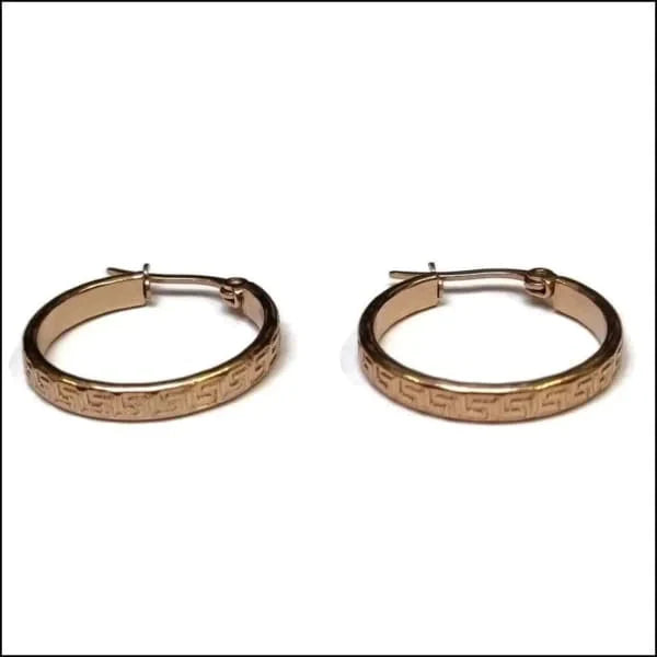 Stalen Bewerkte Oorringen Rosékleur 25mm Grieks-25x3.5mm 2.5mm 25mm alles chirurgisch staal dames Geen edelsteen Geen oormodel Geen_steen Meerdere Varianten oorbellen Oorringen oorringetjes PVD rond rosékleurig Soort sieraad_Oorringen Staal strepen tomade Volwassenen Zonder_hanger Zonder_steen zweerknopjes