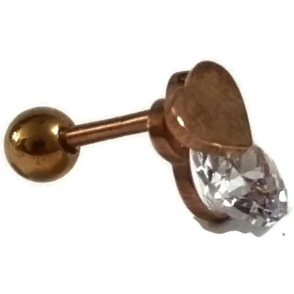 Helix Piercing Rosékleurig Hartje alles helixpiercings nakijken niet geupdated Oor piercing Piercings rosékleurig tekst Volwassenen
