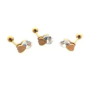 Helix Piercing Rosékleurig Hartje alles helixpiercings nakijken niet geupdated Oor piercing Piercings rosékleurig tekst Volwassenen