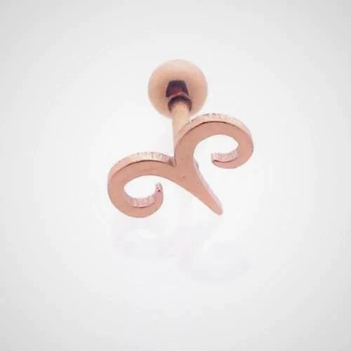 Helixpiercing Rosé Fantasie 7x9mm alles fantasie helixpiercings nakijken niet geupdated Oor piercing Piercings rosékleurig tekst Volwassenen