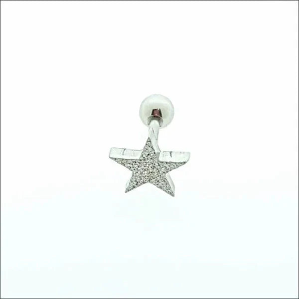Helixpiercing Ster Gediamanteerd alles helixpiercings nakijken niet geupdated Oor piercing Piercings ster tekst Volwassenen