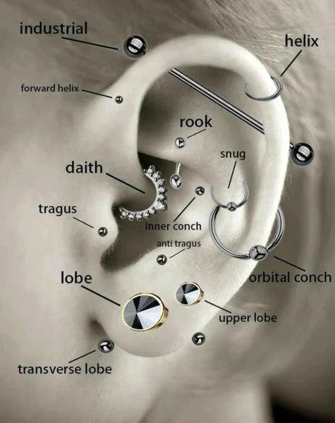 Helixpiercing Traguspiercing Steentje Transparant 1.2mm 4.5mm 6mm alles Barbell chirurgisch staal dames Geen hanger Geen_Parel Helix helixpiercings kristal Met_steen nakijken Oor piercing Piercings PVD Staal tekst transparant uniseks unisex Volwassenen