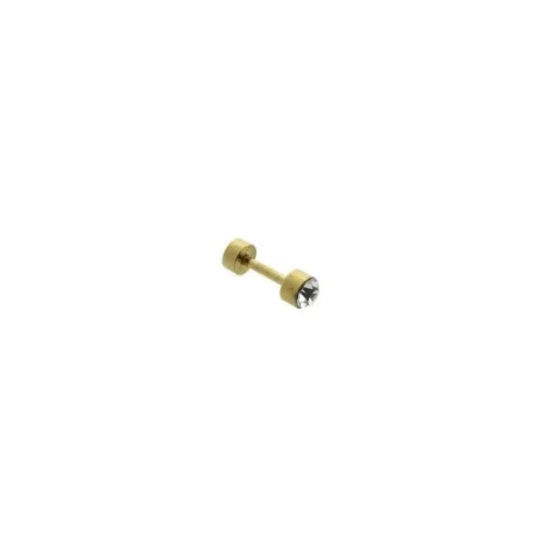 Helix Piercing Rond Chirurgisch Staal Transparant 1.2mm 4mm 6mm alles chirurgisch staal goudkleurig helixpiercings Kleur_Goudkleurig nakijken niet geupdated Oor piercing Piercings PVD rond Staal tekst transparant Volwassenen