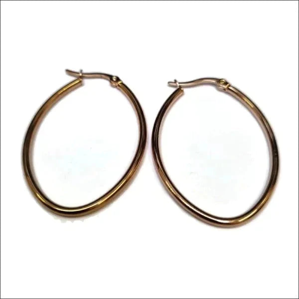 Stalen Oorringen Ovaal 40mm Rosékleurig Rond-40x2mm 2mm 40mm 8720157050346 alles Aramat Jewels chirurgisch staal dames Geen edelsteen Geen oormodel Geen_steen goudkleurig oor5054 oorbellen Oorringen oorringetjes ovaal PVD rosékleurig Soort sieraad_Oorringen Staal tomade unisex Volwassenen Zonder_hanger Zonder_steen zweerknopjes