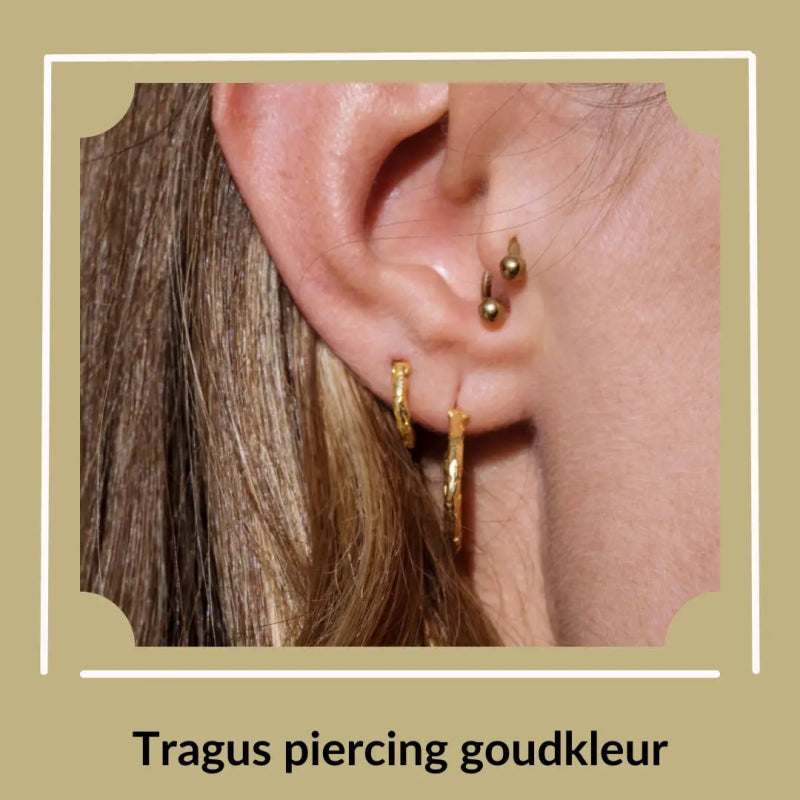 Prachtige Stalen Tragus Piercings - Aramat Jewels