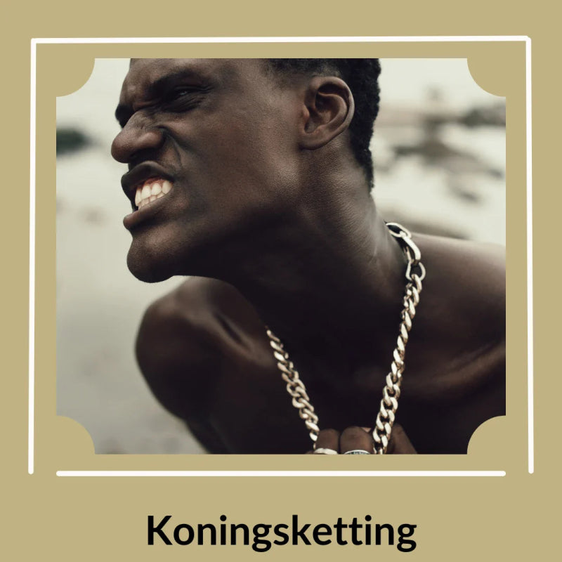 Rvs trendy halsketting 55cm - Aramat Jewels