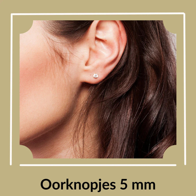 Stalen oorbellen 5mm - Aramat Jewels