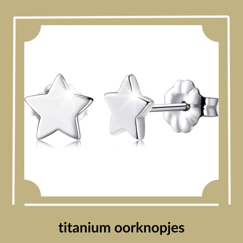 Titanium oorbellen - Aramat Jewels